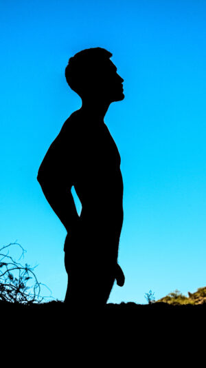Jay Silhouette